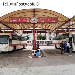 [P05] Tunis, Autogara de Sud, Peronul și Autobuzul 105 ce merge la Hamammet » foto by mprofeanu
 - 
<span class="allrVoted glyphicon glyphicon-heart hidden" id="av1438684"></span>
<a class="m-l-10 hidden" id="sv1438684" onclick="voting_Foto_DelVot(,1438684,23260)" role="button">șterge vot <span class="glyphicon glyphicon-remove"></span></a>
<a id="v91438684" class=" c-red"  onclick="voting_Foto_SetVot(1438684)" role="button"><span class="glyphicon glyphicon-heart-empty"></span> <b>LIKE</b> = Votează poza</a> <img class="hidden"  id="f1438684W9" src="/imagini/loader.gif" border="0" /><span class="AjErrMes hidden" id="e1438684ErM"></span>