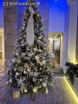 [P09] Bradul de Crăciun » foto by adrianaglogo
 - 
<span class="allrVoted glyphicon glyphicon-heart hidden" id="av1515763"></span>
<a class="m-l-10 hidden" id="sv1515763" onclick="voting_Foto_DelVot(,1515763,23291)" role="button">șterge vot <span class="glyphicon glyphicon-remove"></span></a>
<a id="v91515763" class=" c-red"  onclick="voting_Foto_SetVot(1515763)" role="button"><span class="glyphicon glyphicon-heart-empty"></span> <b>LIKE</b> = Votează poza</a> <img class="hidden"  id="f1515763W9" src="/imagini/loader.gif" border="0" /><span class="AjErrMes hidden" id="e1515763ErM"></span>