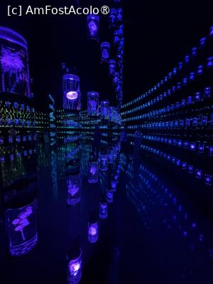 [P34] Museum of the Future Dubai,biblioteca ADN » foto by AZE
 - 
<span class="allrVoted glyphicon glyphicon-heart hidden" id="av1486851"></span>
<a class="m-l-10 hidden" id="sv1486851" onclick="voting_Foto_DelVot(,1486851,23380)" role="button">șterge vot <span class="glyphicon glyphicon-remove"></span></a>
<a id="v91486851" class=" c-red"  onclick="voting_Foto_SetVot(1486851)" role="button"><span class="glyphicon glyphicon-heart-empty"></span> <b>LIKE</b> = Votează poza</a> <img class="hidden"  id="f1486851W9" src="/imagini/loader.gif" border="0" /><span class="AjErrMes hidden" id="e1486851ErM"></span>