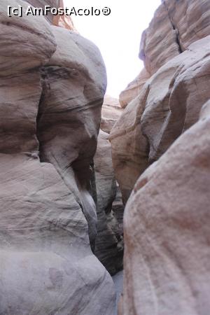 P16 [FEB-2020] Red Canyon, Traseul verde îngust și denivelat