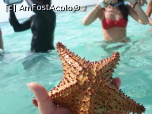 P13 [OCT-2015] Un vis împlinit - Republica Dominicană - steluţa mea de mare