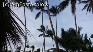 P17 [OCT-2015] Un vis împlinit - Republica Dominicană - la umbra cocotierilor
