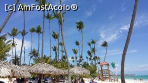 P07 [OCT-2015] Un vis împlinit - Republica Dominicană - cocotierii de pe plajă