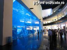 [P25] Acvariul din Dubai Mall » foto by lizuk
 - 
<span class="allrVoted glyphicon glyphicon-heart hidden" id="av69366"></span>
<a class="m-l-10 hidden" id="sv69366" onclick="voting_Foto_DelVot(,69366,23467)" role="button">șterge vot <span class="glyphicon glyphicon-remove"></span></a>
<a id="v969366" class=" c-red"  onclick="voting_Foto_SetVot(69366)" role="button"><span class="glyphicon glyphicon-heart-empty"></span> <b>LIKE</b> = Votează poza</a> <img class="hidden"  id="f69366W9" src="/imagini/loader.gif" border="0" /><span class="AjErrMes hidden" id="e69366ErM"></span>