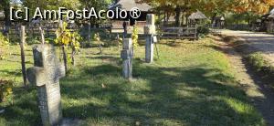 [P72] 72. Întâi am crezut că este vorba de un cimitir. Dar nu, sunt cruci de hotar. » foto by msnd
 - 
<span class="allrVoted glyphicon glyphicon-heart hidden" id="av1508970"></span>
<a class="m-l-10 hidden" id="sv1508970" onclick="voting_Foto_DelVot(,1508970,23475)" role="button">șterge vot <span class="glyphicon glyphicon-remove"></span></a>
<a id="v91508970" class=" c-red"  onclick="voting_Foto_SetVot(1508970)" role="button"><span class="glyphicon glyphicon-heart-empty"></span> <b>LIKE</b> = Votează poza</a> <img class="hidden"  id="f1508970W9" src="/imagini/loader.gif" border="0" /><span class="AjErrMes hidden" id="e1508970ErM"></span>