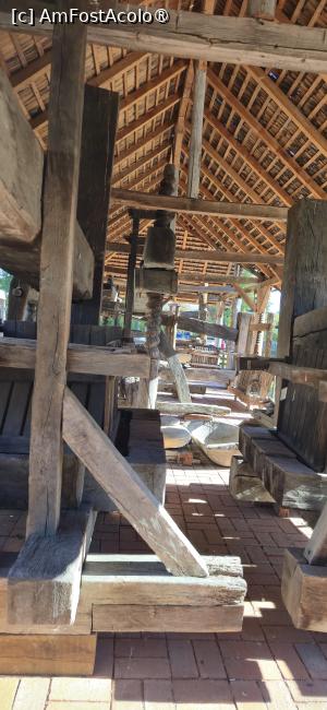 [P79] 79.  .... adăpostește mai multe exponate .... » foto by msnd
 - 
<span class="allrVoted glyphicon glyphicon-heart hidden" id="av1508977"></span>
<a class="m-l-10 hidden" id="sv1508977" onclick="voting_Foto_DelVot(,1508977,23475)" role="button">șterge vot <span class="glyphicon glyphicon-remove"></span></a>
<a id="v91508977" class=" c-red"  onclick="voting_Foto_SetVot(1508977)" role="button"><span class="glyphicon glyphicon-heart-empty"></span> <b>LIKE</b> = Votează poza</a> <img class="hidden"  id="f1508977W9" src="/imagini/loader.gif" border="0" /><span class="AjErrMes hidden" id="e1508977ErM"></span>