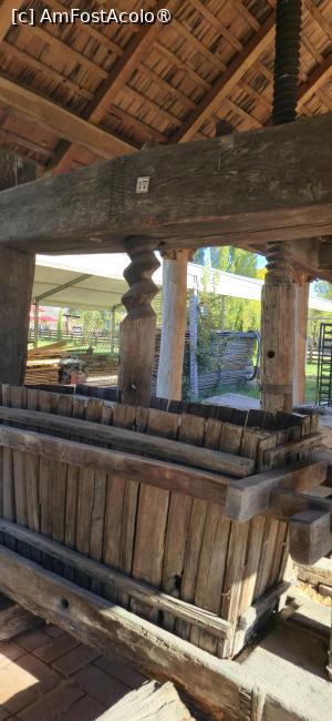 [P80] 80. .... de  „instrumentar pomi - viticol” » foto by msnd
 - 
<span class="allrVoted glyphicon glyphicon-heart hidden" id="av1508978"></span>
<a class="m-l-10 hidden" id="sv1508978" onclick="voting_Foto_DelVot(,1508978,23475)" role="button">șterge vot <span class="glyphicon glyphicon-remove"></span></a>
<a id="v91508978" class=" c-red"  onclick="voting_Foto_SetVot(1508978)" role="button"><span class="glyphicon glyphicon-heart-empty"></span> <b>LIKE</b> = Votează poza</a> <img class="hidden"  id="f1508978W9" src="/imagini/loader.gif" border="0" /><span class="AjErrMes hidden" id="e1508978ErM"></span>