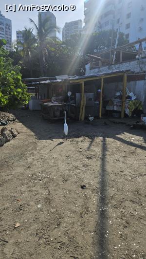 [P04] plaja Bocagrande » foto by robert
 - 
<span class="allrVoted glyphicon glyphicon-heart hidden" id="av1479917"></span>
<a class="m-l-10 hidden" id="sv1479917" onclick="voting_Foto_DelVot(,1479917,23541)" role="button">șterge vot <span class="glyphicon glyphicon-remove"></span></a>
<a id="v91479917" class=" c-red"  onclick="voting_Foto_SetVot(1479917)" role="button"><span class="glyphicon glyphicon-heart-empty"></span> <b>LIKE</b> = Votează poza</a> <img class="hidden"  id="f1479917W9" src="/imagini/loader.gif" border="0" /><span class="AjErrMes hidden" id="e1479917ErM"></span>