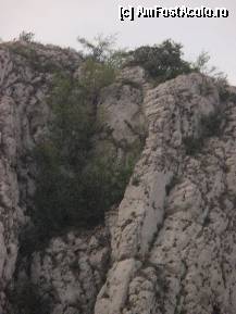 [P09] Calcarele de la Ampoita- detaliu.Parca vad serpii intinsi la soare pe peretele de calcar cald! » foto by sunflower
 - 
<span class="allrVoted glyphicon glyphicon-heart hidden" id="av314688"></span>
<a class="m-l-10 hidden" id="sv314688" onclick="voting_Foto_DelVot(,314688,23551)" role="button">șterge vot <span class="glyphicon glyphicon-remove"></span></a>
<a id="v9314688" class=" c-red"  onclick="voting_Foto_SetVot(314688)" role="button"><span class="glyphicon glyphicon-heart-empty"></span> <b>LIKE</b> = Votează poza</a> <img class="hidden"  id="f314688W9" src="/imagini/loader.gif" border="0" /><span class="AjErrMes hidden" id="e314688ErM"></span>