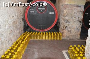 P21 [MAR-2018] Butoi de 5000 de litri în pivniţele LOGOS din oraşul Aiud, jud. Alba