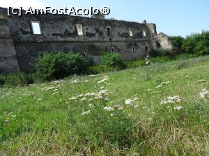 [P01] Castelul Bethlen-Martinuzzi din Vințu de Jos.  » foto by tata123 🔱
 - 
<span class="allrVoted glyphicon glyphicon-heart hidden" id="av1113294"></span>
<a class="m-l-10 hidden" id="sv1113294" onclick="voting_Foto_DelVot(,1113294,23551)" role="button">șterge vot <span class="glyphicon glyphicon-remove"></span></a>
<a id="v91113294" class=" c-red"  onclick="voting_Foto_SetVot(1113294)" role="button"><span class="glyphicon glyphicon-heart-empty"></span> <b>LIKE</b> = Votează poza</a> <img class="hidden"  id="f1113294W9" src="/imagini/loader.gif" border="0" /><span class="AjErrMes hidden" id="e1113294ErM"></span>