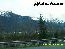 [P23]  -- <small>// FĂRĂ DESCRIERE</small> » foto by adryana
 - 
<span class="allrVoted glyphicon glyphicon-heart hidden" id="av318002"></span>
<a class="m-l-10 hidden" id="sv318002" onclick="voting_Foto_DelVot(,318002,23568)" role="button">șterge vot <span class="glyphicon glyphicon-remove"></span></a>
<a id="v9318002" class=" c-red"  onclick="voting_Foto_SetVot(318002)" role="button"><span class="glyphicon glyphicon-heart-empty"></span> <b>LIKE</b> = Votează poza</a> <img class="hidden"  id="f318002W9" src="/imagini/loader.gif" border="0" /><span class="AjErrMes hidden" id="e318002ErM"></span>