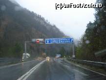 [P56]  -- <small>// FĂRĂ DESCRIERE</small> » foto by adryana
 - 
<span class="allrVoted glyphicon glyphicon-heart hidden" id="av318035"></span>
<a class="m-l-10 hidden" id="sv318035" onclick="voting_Foto_DelVot(,318035,23568)" role="button">șterge vot <span class="glyphicon glyphicon-remove"></span></a>
<a id="v9318035" class=" c-red"  onclick="voting_Foto_SetVot(318035)" role="button"><span class="glyphicon glyphicon-heart-empty"></span> <b>LIKE</b> = Votează poza</a> <img class="hidden"  id="f318035W9" src="/imagini/loader.gif" border="0" /><span class="AjErrMes hidden" id="e318035ErM"></span>