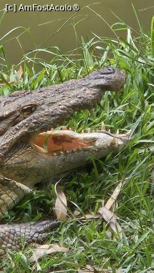[P08] Lacoste de Africa » foto by robert
 - 
<span class="allrVoted glyphicon glyphicon-heart hidden" id="av1487072"></span>
<a class="m-l-10 hidden" id="sv1487072" onclick="voting_Foto_DelVot(,1487072,23651)" role="button">șterge vot <span class="glyphicon glyphicon-remove"></span></a>
<a id="v91487072" class=" c-red"  onclick="voting_Foto_SetVot(1487072)" role="button"><span class="glyphicon glyphicon-heart-empty"></span> <b>LIKE</b> = Votează poza</a> <img class="hidden"  id="f1487072W9" src="/imagini/loader.gif" border="0" /><span class="AjErrMes hidden" id="e1487072ErM"></span>