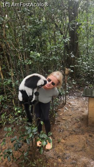 [P16] altă specie de lemuri » foto by robert
 - 
<span class="allrVoted glyphicon glyphicon-heart hidden" id="av1491371"></span>
<a class="m-l-10 hidden" id="sv1491371" onclick="voting_Foto_DelVot(,1491371,23651)" role="button">șterge vot <span class="glyphicon glyphicon-remove"></span></a>
<a id="v91491371" class=" c-red"  onclick="voting_Foto_SetVot(1491371)" role="button"><span class="glyphicon glyphicon-heart-empty"></span> <b>LIKE</b> = Votează poza</a> <img class="hidden"  id="f1491371W9" src="/imagini/loader.gif" border="0" /><span class="AjErrMes hidden" id="e1491371ErM"></span>