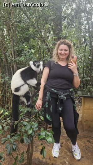 [P19] altă specie de lemuri » foto by robert
 - 
<span class="allrVoted glyphicon glyphicon-heart hidden" id="av1491374"></span>
<a class="m-l-10 hidden" id="sv1491374" onclick="voting_Foto_DelVot(,1491374,23651)" role="button">șterge vot <span class="glyphicon glyphicon-remove"></span></a>
<a id="v91491374" class=" c-red"  onclick="voting_Foto_SetVot(1491374)" role="button"><span class="glyphicon glyphicon-heart-empty"></span> <b>LIKE</b> = Votează poza</a> <img class="hidden"  id="f1491374W9" src="/imagini/loader.gif" border="0" /><span class="AjErrMes hidden" id="e1491374ErM"></span>