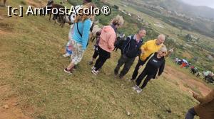 [P17] la târgul de animale » foto by robert
 - 
<span class="allrVoted glyphicon glyphicon-heart hidden" id="av1500098"></span>
<a class="m-l-10 hidden" id="sv1500098" onclick="voting_Foto_DelVot(,1500098,23651)" role="button">șterge vot <span class="glyphicon glyphicon-remove"></span></a>
<a id="v91500098" class=" c-red"  onclick="voting_Foto_SetVot(1500098)" role="button"><span class="glyphicon glyphicon-heart-empty"></span> <b>LIKE</b> = Votează poza</a> <img class="hidden"  id="f1500098W9" src="/imagini/loader.gif" border="0" /><span class="AjErrMes hidden" id="e1500098ErM"></span>