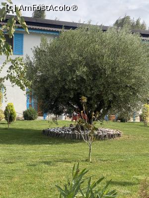 [P25] Cherhanaua Tașaul, Năvodari. » foto by Floria
 - 
<span class="allrVoted glyphicon glyphicon-heart hidden" id="av1505819"></span>
<a class="m-l-10 hidden" id="sv1505819" onclick="voting_Foto_DelVot(,1505819,23675)" role="button">șterge vot <span class="glyphicon glyphicon-remove"></span></a>
<a id="v91505819" class=" c-red"  onclick="voting_Foto_SetVot(1505819)" role="button"><span class="glyphicon glyphicon-heart-empty"></span> <b>LIKE</b> = Votează poza</a> <img class="hidden"  id="f1505819W9" src="/imagini/loader.gif" border="0" /><span class="AjErrMes hidden" id="e1505819ErM"></span>