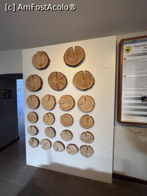 [P28] Muzeul orașului Sinaia » foto by AZE
 - 
<span class="allrVoted glyphicon glyphicon-heart hidden" id="av1537147"></span>
<a class="m-l-10 hidden" id="sv1537147" onclick="voting_Foto_DelVot(,1537147,23928)" role="button">șterge vot <span class="glyphicon glyphicon-remove"></span></a>
<a id="v91537147" class=" c-red"  onclick="voting_Foto_SetVot(1537147)" role="button"><span class="glyphicon glyphicon-heart-empty"></span> <b>LIKE</b> = Votează poza</a> <img class="hidden"  id="f1537147W9" src="/imagini/loader.gif" border="0" /><span class="AjErrMes hidden" id="e1537147ErM"></span>