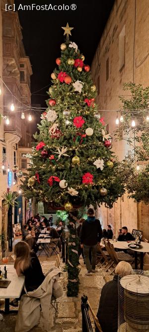 [P24] Unul dintre mulții brazi împodobiți pe străzile din La Valletta » foto by irinad
 - 
<span class="allrVoted glyphicon glyphicon-heart hidden" id="av1512211"></span>
<a class="m-l-10 hidden" id="sv1512211" onclick="voting_Foto_DelVot(,1512211,23969)" role="button">șterge vot <span class="glyphicon glyphicon-remove"></span></a>
<a id="v91512211" class=" c-red"  onclick="voting_Foto_SetVot(1512211)" role="button"><span class="glyphicon glyphicon-heart-empty"></span> <b>LIKE</b> = Votează poza</a> <img class="hidden"  id="f1512211W9" src="/imagini/loader.gif" border="0" /><span class="AjErrMes hidden" id="e1512211ErM"></span>