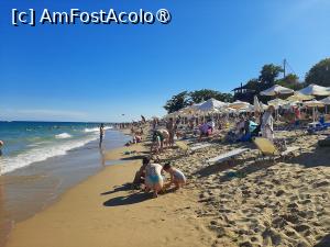 [P34]  -- <small>// FĂRĂ DESCRIERE</small> » foto by roxxie
 - 
<span class="allrVoted glyphicon glyphicon-heart hidden" id="av1499184"></span>
<a class="m-l-10 hidden" id="sv1499184" onclick="voting_Foto_DelVot(,1499184,24125)" role="button">șterge vot <span class="glyphicon glyphicon-remove"></span></a>
<a id="v91499184" class=" c-red"  onclick="voting_Foto_SetVot(1499184)" role="button"><span class="glyphicon glyphicon-heart-empty"></span> <b>LIKE</b> = Votează poza</a> <img class="hidden"  id="f1499184W9" src="/imagini/loader.gif" border="0" /><span class="AjErrMes hidden" id="e1499184ErM"></span>