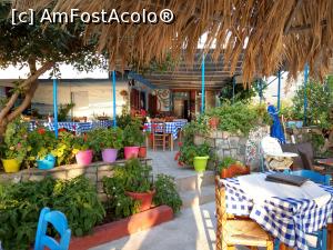 [P20] Taverna Klimataria, plină cu flori.  » foto by maryka
 - 
<span class="allrVoted glyphicon glyphicon-heart hidden" id="av1003795"></span>
<a class="m-l-10 hidden" id="sv1003795" onclick="voting_Foto_DelVot(,1003795,24213)" role="button">șterge vot <span class="glyphicon glyphicon-remove"></span></a>
<a id="v91003795" class=" c-red"  onclick="voting_Foto_SetVot(1003795)" role="button"><span class="glyphicon glyphicon-heart-empty"></span> <b>LIKE</b> = Votează poza</a> <img class="hidden"  id="f1003795W9" src="/imagini/loader.gif" border="0" /><span class="AjErrMes hidden" id="e1003795ErM"></span>