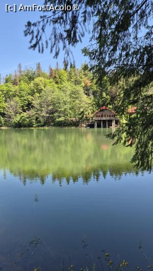 [P22] Lacul Buhui - vedere spre cabană » foto by ANILU
 - 
<span class="allrVoted glyphicon glyphicon-heart hidden" id="av1533909"></span>
<a class="m-l-10 hidden" id="sv1533909" onclick="voting_Foto_DelVot(,1533909,24288)" role="button">șterge vot <span class="glyphicon glyphicon-remove"></span></a>
<a id="v91533909" class=" c-red"  onclick="voting_Foto_SetVot(1533909)" role="button"><span class="glyphicon glyphicon-heart-empty"></span> <b>LIKE</b> = Votează poza</a> <img class="hidden"  id="f1533909W9" src="/imagini/loader.gif" border="0" /><span class="AjErrMes hidden" id="e1533909ErM"></span>