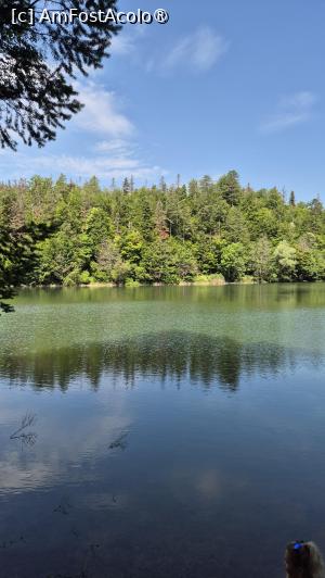 [P23] Lacul Buhui » foto by ANILU
 - 
<span class="allrVoted glyphicon glyphicon-heart hidden" id="av1533910"></span>
<a class="m-l-10 hidden" id="sv1533910" onclick="voting_Foto_DelVot(,1533910,24288)" role="button">șterge vot <span class="glyphicon glyphicon-remove"></span></a>
<a id="v91533910" class=" c-red"  onclick="voting_Foto_SetVot(1533910)" role="button"><span class="glyphicon glyphicon-heart-empty"></span> <b>LIKE</b> = Votează poza</a> <img class="hidden"  id="f1533910W9" src="/imagini/loader.gif" border="0" /><span class="AjErrMes hidden" id="e1533910ErM"></span>