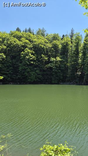 [P26] Lacul Buhui » foto by ANILU
 - 
<span class="allrVoted glyphicon glyphicon-heart hidden" id="av1533913"></span>
<a class="m-l-10 hidden" id="sv1533913" onclick="voting_Foto_DelVot(,1533913,24288)" role="button">șterge vot <span class="glyphicon glyphicon-remove"></span></a>
<a id="v91533913" class=" c-red"  onclick="voting_Foto_SetVot(1533913)" role="button"><span class="glyphicon glyphicon-heart-empty"></span> <b>LIKE</b> = Votează poza</a> <img class="hidden"  id="f1533913W9" src="/imagini/loader.gif" border="0" /><span class="AjErrMes hidden" id="e1533913ErM"></span>