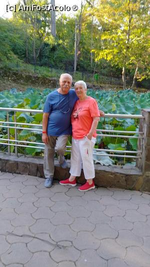 [P28] Turiști în Băile Felix » foto by Mitica49
 - 
<span class="allrVoted glyphicon glyphicon-heart hidden" id="av1506833"></span>
<a class="m-l-10 hidden" id="sv1506833" onclick="voting_Foto_DelVot(,1506833,24485)" role="button">șterge vot <span class="glyphicon glyphicon-remove"></span></a>
<a id="v91506833" class=" c-red"  onclick="voting_Foto_SetVot(1506833)" role="button"><span class="glyphicon glyphicon-heart-empty"></span> <b>LIKE</b> = Votează poza</a> <img class="hidden"  id="f1506833W9" src="/imagini/loader.gif" border="0" /><span class="AjErrMes hidden" id="e1506833ErM"></span>