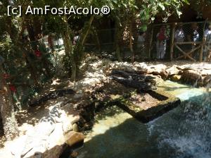P17 [SEP-2018] Hurghada Grand Aquarium - crocodili de Nil