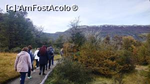 [P06] plimbare în Parcul Tierra del Fuego » foto by elenaadina
 - 
<span class="allrVoted glyphicon glyphicon-heart hidden" id="av1522790"></span>
<a class="m-l-10 hidden" id="sv1522790" onclick="voting_Foto_DelVot(,1522790,24560)" role="button">șterge vot <span class="glyphicon glyphicon-remove"></span></a>
<a id="v91522790" class=" c-red"  onclick="voting_Foto_SetVot(1522790)" role="button"><span class="glyphicon glyphicon-heart-empty"></span> <b>LIKE</b> = Votează poza</a> <img class="hidden"  id="f1522790W9" src="/imagini/loader.gif" border="0" /><span class="AjErrMes hidden" id="e1522790ErM"></span>