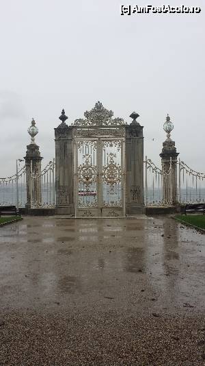 [P24] Palatul Dolmabahce » foto by popescuionut
 - 
<span class="allrVoted glyphicon glyphicon-heart hidden" id="av515058"></span>
<a class="m-l-10 hidden" id="sv515058" onclick="voting_Foto_DelVot(,515058,24606)" role="button">șterge vot <span class="glyphicon glyphicon-remove"></span></a>
<a id="v9515058" class=" c-red"  onclick="voting_Foto_SetVot(515058)" role="button"><span class="glyphicon glyphicon-heart-empty"></span> <b>LIKE</b> = Votează poza</a> <img class="hidden"  id="f515058W9" src="/imagini/loader.gif" border="0" /><span class="AjErrMes hidden" id="e515058ErM"></span>