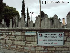 [P09] Cimitirul Eyup » foto by Carmen Ion
 - 
<span class="allrVoted glyphicon glyphicon-heart hidden" id="av565765"></span>
<a class="m-l-10 hidden" id="sv565765" onclick="voting_Foto_DelVot(,565765,24606)" role="button">șterge vot <span class="glyphicon glyphicon-remove"></span></a>
<a id="v9565765" class=" c-red"  onclick="voting_Foto_SetVot(565765)" role="button"><span class="glyphicon glyphicon-heart-empty"></span> <b>LIKE</b> = Votează poza</a> <img class="hidden"  id="f565765W9" src="/imagini/loader.gif" border="0" /><span class="AjErrMes hidden" id="e565765ErM"></span>