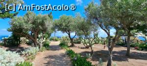 [P14] Din grădina mediteraneană a Santuario di Santa Maria dell`Isolla » foto by irinad
 - 
<span class="allrVoted glyphicon glyphicon-heart hidden" id="av1523102"></span>
<a class="m-l-10 hidden" id="sv1523102" onclick="voting_Foto_DelVot(,1523102,24664)" role="button">șterge vot <span class="glyphicon glyphicon-remove"></span></a>
<a id="v91523102" class=" c-red"  onclick="voting_Foto_SetVot(1523102)" role="button"><span class="glyphicon glyphicon-heart-empty"></span> <b>LIKE</b> = Votează poza</a> <img class="hidden"  id="f1523102W9" src="/imagini/loader.gif" border="0" /><span class="AjErrMes hidden" id="e1523102ErM"></span>