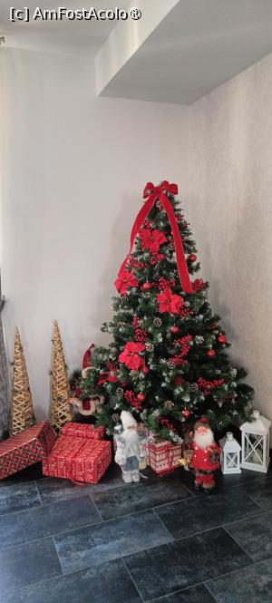 [P31] În sala de evenimente încă este bradul de sărbători. » foto by tata123 🔱
 - 
<span class="allrVoted glyphicon glyphicon-heart hidden" id="av1516666"></span>
<a class="m-l-10 hidden" id="sv1516666" onclick="voting_Foto_DelVot(,1516666,24704)" role="button">șterge vot <span class="glyphicon glyphicon-remove"></span></a>
<a id="v91516666" class=" c-red"  onclick="voting_Foto_SetVot(1516666)" role="button"><span class="glyphicon glyphicon-heart-empty"></span> <b>LIKE</b> = Votează poza</a> <img class="hidden"  id="f1516666W9" src="/imagini/loader.gif" border="0" /><span class="AjErrMes hidden" id="e1516666ErM"></span>