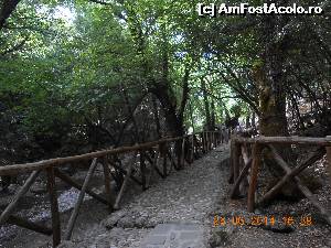 [P08] Balustrade din lemn despart drumul de acces în rezervație de restul pădurii.  » foto by Rodel
 - 
<span class="allrVoted glyphicon glyphicon-heart hidden" id="av574480"></span>
<a class="m-l-10 hidden" id="sv574480" onclick="voting_Foto_DelVot(,574480,24714)" role="button">șterge vot <span class="glyphicon glyphicon-remove"></span></a>
<a id="v9574480" class=" c-red"  onclick="voting_Foto_SetVot(574480)" role="button"><span class="glyphicon glyphicon-heart-empty"></span> <b>LIKE</b> = Votează poza</a> <img class="hidden"  id="f574480W9" src="/imagini/loader.gif" border="0" /><span class="AjErrMes hidden" id="e574480ErM"></span>