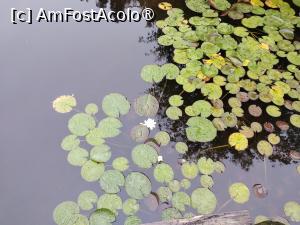 [P03]  -- <small>// FĂRĂ DESCRIERE</small> » foto by Marius 72
 - 
<span class="allrVoted glyphicon glyphicon-heart hidden" id="av1475532"></span>
<a class="m-l-10 hidden" id="sv1475532" onclick="voting_Foto_DelVot(,1475532,24803)" role="button">șterge vot <span class="glyphicon glyphicon-remove"></span></a>
<a id="v91475532" class=" c-red"  onclick="voting_Foto_SetVot(1475532)" role="button"><span class="glyphicon glyphicon-heart-empty"></span> <b>LIKE</b> = Votează poza</a> <img class="hidden"  id="f1475532W9" src="/imagini/loader.gif" border="0" /><span class="AjErrMes hidden" id="e1475532ErM"></span>