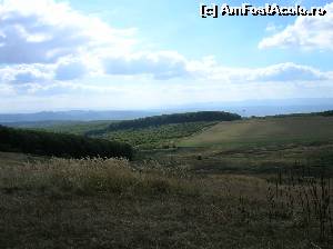 [P09] Din păcate parcela de pădure din imagine a fost rasă la firul ierbii, în urmă cu câțiva ani (încărcată și la Commons Wiki).  » foto by Qvadratvus
 - 
<span class="allrVoted glyphicon glyphicon-heart hidden" id="av571079"></span>
<a class="m-l-10 hidden" id="sv571079" onclick="voting_Foto_DelVot(,571079,24883)" role="button">șterge vot <span class="glyphicon glyphicon-remove"></span></a>
<a id="v9571079" class=" c-red"  onclick="voting_Foto_SetVot(571079)" role="button"><span class="glyphicon glyphicon-heart-empty"></span> <b>LIKE</b> = Votează poza</a> <img class="hidden"  id="f571079W9" src="/imagini/loader.gif" border="0" /><span class="AjErrMes hidden" id="e571079ErM"></span>