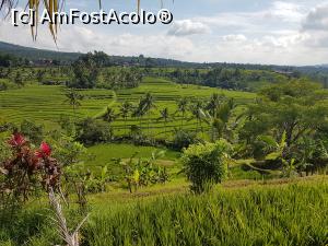 [P02] Jatiluwih Rice Terraces » foto by r-Uca
 - 
<span class="allrVoted glyphicon glyphicon-heart hidden" id="av1058068"></span>
<a class="m-l-10 hidden" id="sv1058068" onclick="voting_Foto_DelVot(,1058068,24939)" role="button">șterge vot <span class="glyphicon glyphicon-remove"></span></a>
<a id="v91058068" class=" c-red"  onclick="voting_Foto_SetVot(1058068)" role="button"><span class="glyphicon glyphicon-heart-empty"></span> <b>LIKE</b> = Votează poza</a> <img class="hidden"  id="f1058068W9" src="/imagini/loader.gif" border="0" /><span class="AjErrMes hidden" id="e1058068ErM"></span>