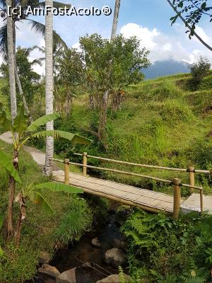 [P08] Jatiluwih Rice Terraces » foto by r-Uca
 - 
<span class="allrVoted glyphicon glyphicon-heart hidden" id="av1058074"></span>
<a class="m-l-10 hidden" id="sv1058074" onclick="voting_Foto_DelVot(,1058074,24939)" role="button">șterge vot <span class="glyphicon glyphicon-remove"></span></a>
<a id="v91058074" class=" c-red"  onclick="voting_Foto_SetVot(1058074)" role="button"><span class="glyphicon glyphicon-heart-empty"></span> <b>LIKE</b> = Votează poza</a> <img class="hidden"  id="f1058074W9" src="/imagini/loader.gif" border="0" /><span class="AjErrMes hidden" id="e1058074ErM"></span>