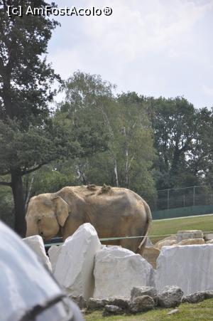 [P12] Safari Park di Pombia - uite si un pui de elefant indian.  » foto by Diaura*
 - 
<span class="allrVoted glyphicon glyphicon-heart hidden" id="av1057556"></span>
<a class="m-l-10 hidden" id="sv1057556" onclick="voting_Foto_DelVot(,1057556,24943)" role="button">șterge vot <span class="glyphicon glyphicon-remove"></span></a>
<a id="v91057556" class=" c-red"  onclick="voting_Foto_SetVot(1057556)" role="button"><span class="glyphicon glyphicon-heart-empty"></span> <b>LIKE</b> = Votează poza</a> <img class="hidden"  id="f1057556W9" src="/imagini/loader.gif" border="0" /><span class="AjErrMes hidden" id="e1057556ErM"></span>