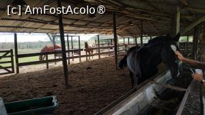 [P11] Ferma Santa Susana » foto by elenaadina
 - 
<span class="allrVoted glyphicon glyphicon-heart hidden" id="av1519368"></span>
<a class="m-l-10 hidden" id="sv1519368" onclick="voting_Foto_DelVot(,1519368,25466)" role="button">șterge vot <span class="glyphicon glyphicon-remove"></span></a>
<a id="v91519368" class=" c-red"  onclick="voting_Foto_SetVot(1519368)" role="button"><span class="glyphicon glyphicon-heart-empty"></span> <b>LIKE</b> = Votează poza</a> <img class="hidden"  id="f1519368W9" src="/imagini/loader.gif" border="0" /><span class="AjErrMes hidden" id="e1519368ErM"></span>