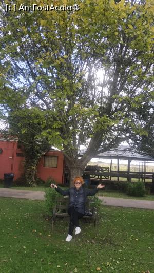 [P14] Ferma Santa Susana » foto by elenaadina
 - 
<span class="allrVoted glyphicon glyphicon-heart hidden" id="av1519371"></span>
<a class="m-l-10 hidden" id="sv1519371" onclick="voting_Foto_DelVot(,1519371,25466)" role="button">șterge vot <span class="glyphicon glyphicon-remove"></span></a>
<a id="v91519371" class=" c-red"  onclick="voting_Foto_SetVot(1519371)" role="button"><span class="glyphicon glyphicon-heart-empty"></span> <b>LIKE</b> = Votează poza</a> <img class="hidden"  id="f1519371W9" src="/imagini/loader.gif" border="0" /><span class="AjErrMes hidden" id="e1519371ErM"></span>