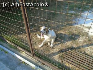 [P13] Aoleu ce cald îmi e!  » foto by Carmen Ion
 - 
<span class="allrVoted glyphicon glyphicon-heart hidden" id="av1133546"></span>
<a class="m-l-10 hidden" id="sv1133546" onclick="voting_Foto_DelVot(,1133546,25552)" role="button">șterge vot <span class="glyphicon glyphicon-remove"></span></a>
<a id="v91133546" class=" c-red"  onclick="voting_Foto_SetVot(1133546)" role="button"><span class="glyphicon glyphicon-heart-empty"></span> <b>LIKE</b> = Votează poza</a> <img class="hidden"  id="f1133546W9" src="/imagini/loader.gif" border="0" /><span class="AjErrMes hidden" id="e1133546ErM"></span>