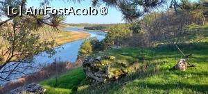 [P01] Belvedere din pădurea de pin negru-balta Limanu » foto by naturiști
 - 
<span class="allrVoted glyphicon glyphicon-heart hidden" id="av1544193"></span>
<a class="m-l-10 hidden" id="sv1544193" onclick="voting_Foto_DelVot(,1544193,25695)" role="button">șterge vot <span class="glyphicon glyphicon-remove"></span></a>
<a id="v91544193" class=" c-red"  onclick="voting_Foto_SetVot(1544193)" role="button"><span class="glyphicon glyphicon-heart-empty"></span> <b>LIKE</b> = Votează poza</a> <img class="hidden"  id="f1544193W9" src="/imagini/loader.gif" border="0" /><span class="AjErrMes hidden" id="e1544193ErM"></span>