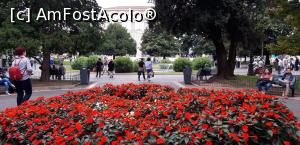 P08 [SEP-2019] Parcul central din Piazza Bra