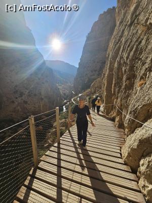 [P03]  -- <small>// FĂRĂ DESCRIERE</small> » foto by Maya_C
 - 
<span class="allrVoted glyphicon glyphicon-heart hidden" id="av1505966"></span>
<a class="m-l-10 hidden" id="sv1505966" onclick="voting_Foto_DelVot(,1505966,25725)" role="button">șterge vot <span class="glyphicon glyphicon-remove"></span></a>
<a id="v91505966" class=" c-red"  onclick="voting_Foto_SetVot(1505966)" role="button"><span class="glyphicon glyphicon-heart-empty"></span> <b>LIKE</b> = Votează poza</a> <img class="hidden"  id="f1505966W9" src="/imagini/loader.gif" border="0" /><span class="AjErrMes hidden" id="e1505966ErM"></span>