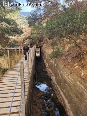 [P05]  -- <small>// FĂRĂ DESCRIERE</small> » foto by Maya_C
 - 
<span class="allrVoted glyphicon glyphicon-heart hidden" id="av1505968"></span>
<a class="m-l-10 hidden" id="sv1505968" onclick="voting_Foto_DelVot(,1505968,25725)" role="button">șterge vot <span class="glyphicon glyphicon-remove"></span></a>
<a id="v91505968" class=" c-red"  onclick="voting_Foto_SetVot(1505968)" role="button"><span class="glyphicon glyphicon-heart-empty"></span> <b>LIKE</b> = Votează poza</a> <img class="hidden"  id="f1505968W9" src="/imagini/loader.gif" border="0" /><span class="AjErrMes hidden" id="e1505968ErM"></span>