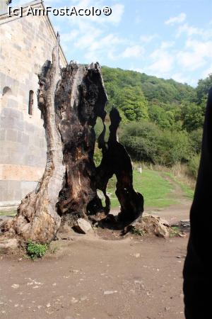 [P19] Armenia, Mănăstirea Haghartsin, Arborele plantat de Principele Zakaryans în urmă cu peste 800 de ani.  » foto by mprofeanu
 - 
<span class="allrVoted glyphicon glyphicon-heart hidden" id="av1123944"></span>
<a class="m-l-10 hidden" id="sv1123944" onclick="voting_Foto_DelVot(,1123944,25788)" role="button">șterge vot <span class="glyphicon glyphicon-remove"></span></a>
<a id="v91123944" class=" c-red"  onclick="voting_Foto_SetVot(1123944)" role="button"><span class="glyphicon glyphicon-heart-empty"></span> <b>LIKE</b> = Votează poza</a> <img class="hidden"  id="f1123944W9" src="/imagini/loader.gif" border="0" /><span class="AjErrMes hidden" id="e1123944ErM"></span>